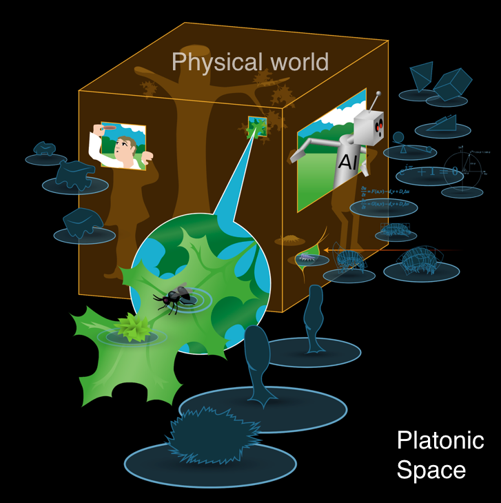 Could the answer be looking for you?