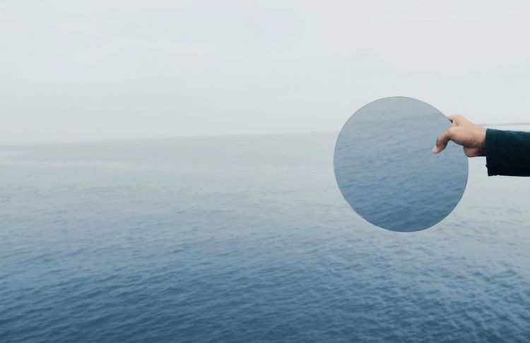 Michael Levin & Critiques of Idealism: double session this week