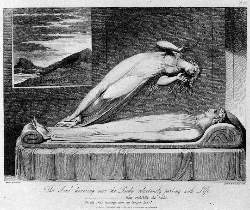 Consciousness Beyond the Body with Marjorie Woollacott