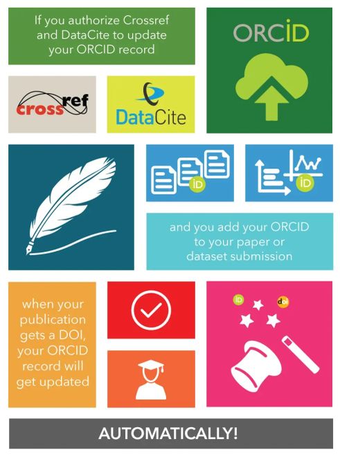 Image of: Auto-Update Has Arrived!