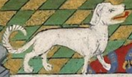 A talbot hound