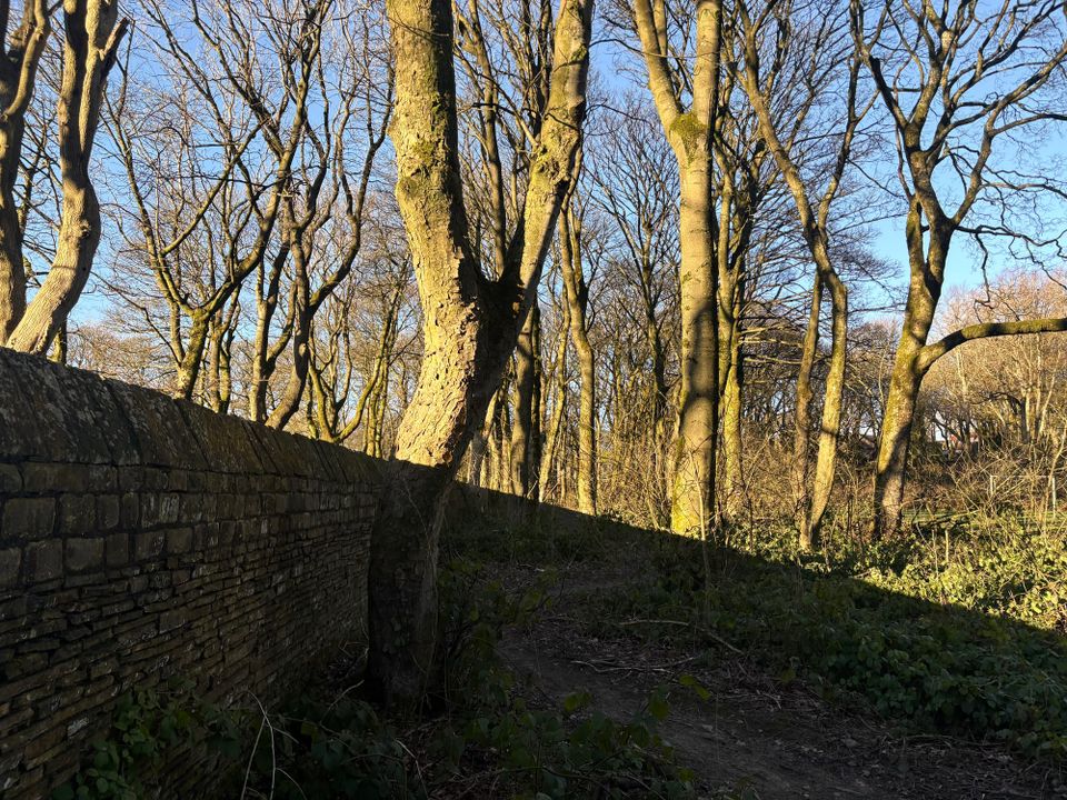 Listening for the Chimes