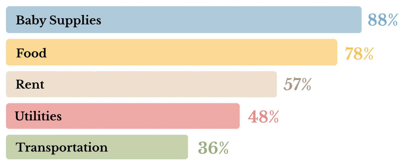 bar graph showing spending categories Baby Supplies at 88%, Food at 78%, Rent at 57%, Utility Bills at 48%, Transportation at 36%