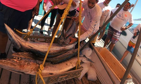 Tales from the Road [4Q 2025]