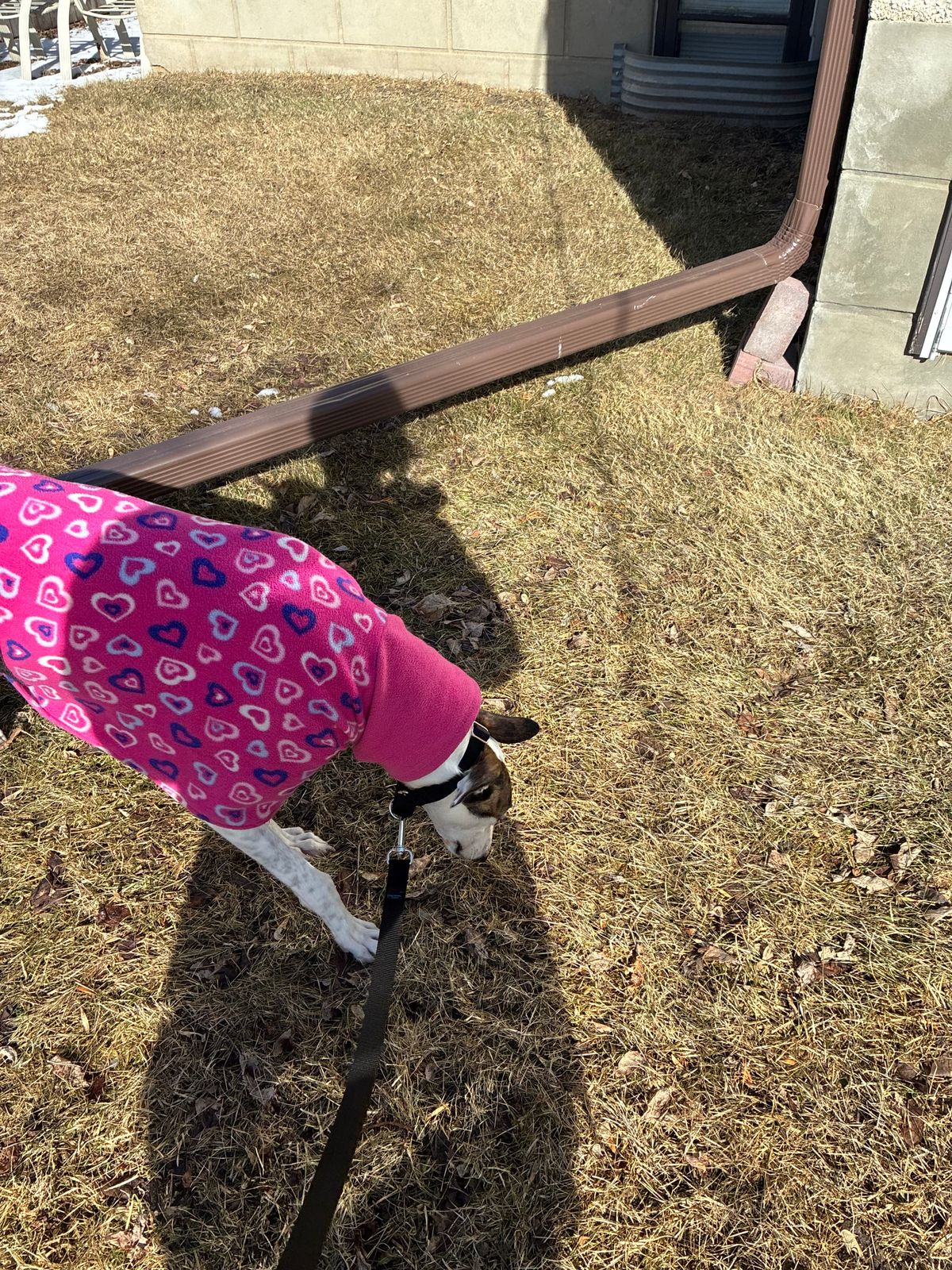 Books I Read in March