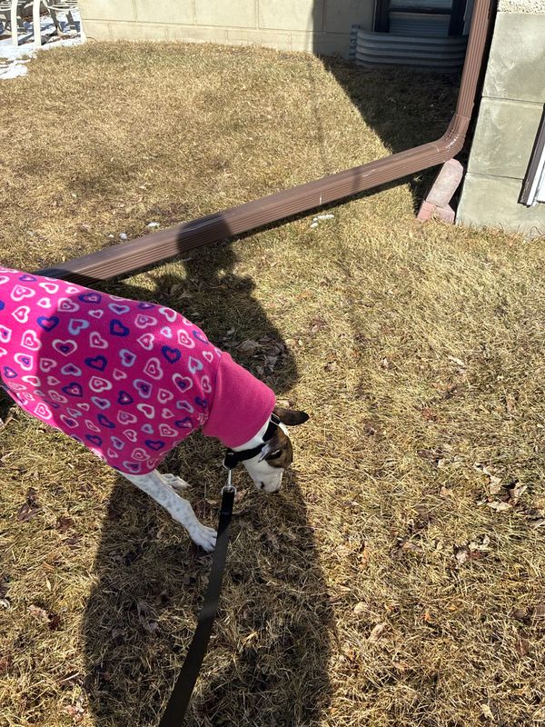 Books I Read in March