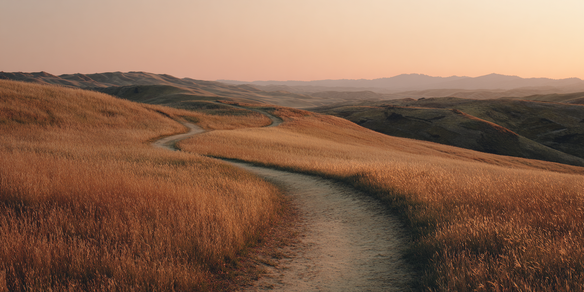 Issue 15: How Far We’ve Come