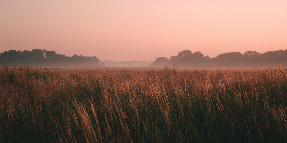 Issue 19: Trends You Only See Later