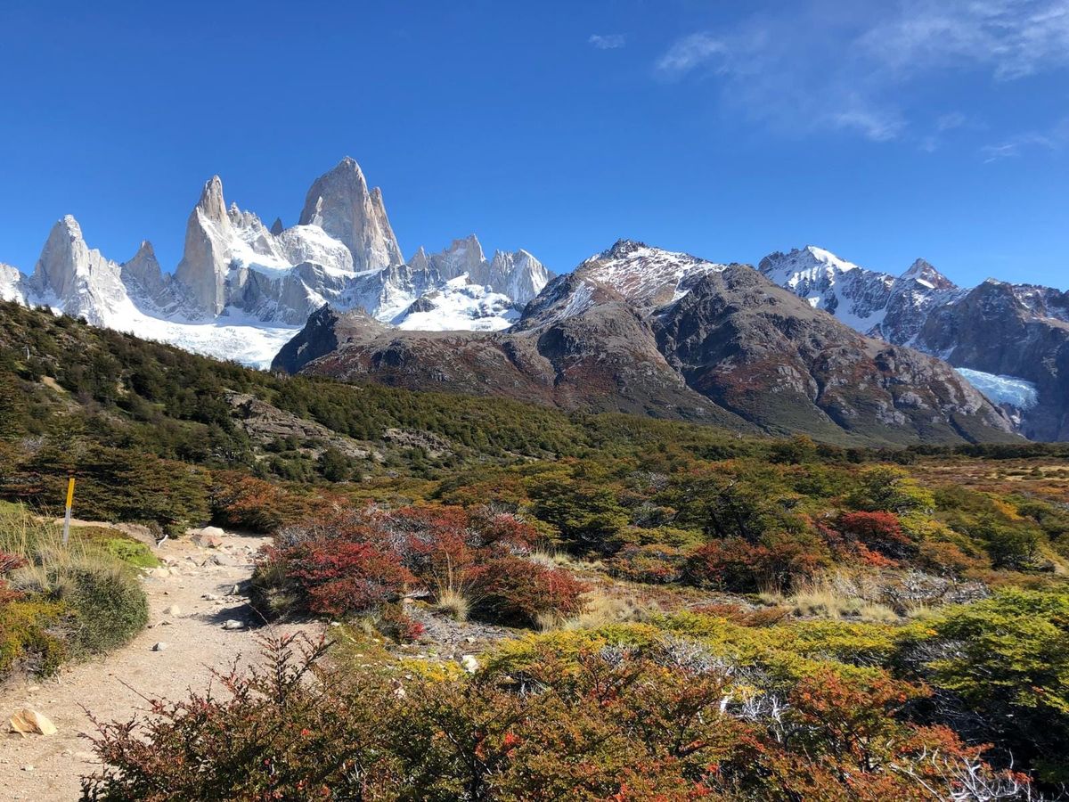 image shows snowy peak mountains in the batckground of a meadow with wild flowers and bushes