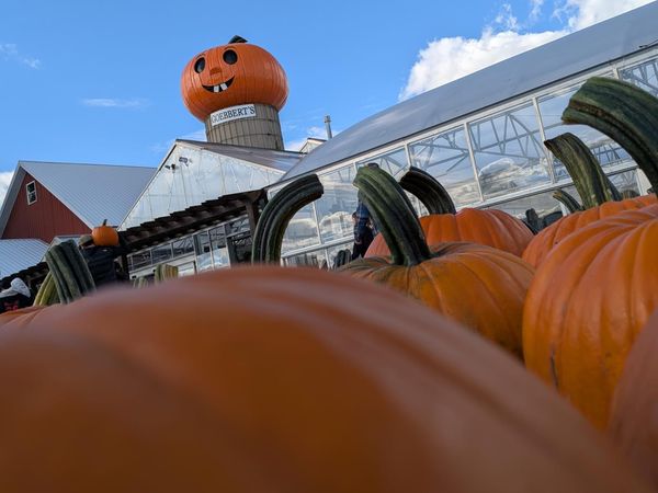 Horror Movie Roundup 2025