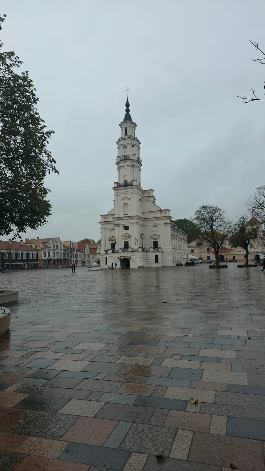 Straipsnio iliustracija