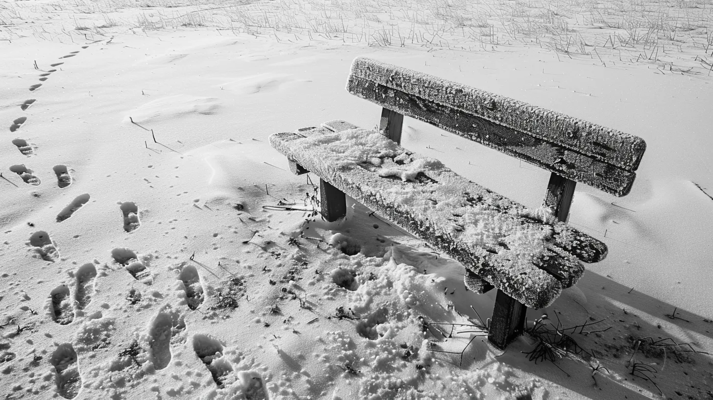 Diena tarp dviejų meilių