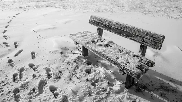 Diena tarp dviejų meilių