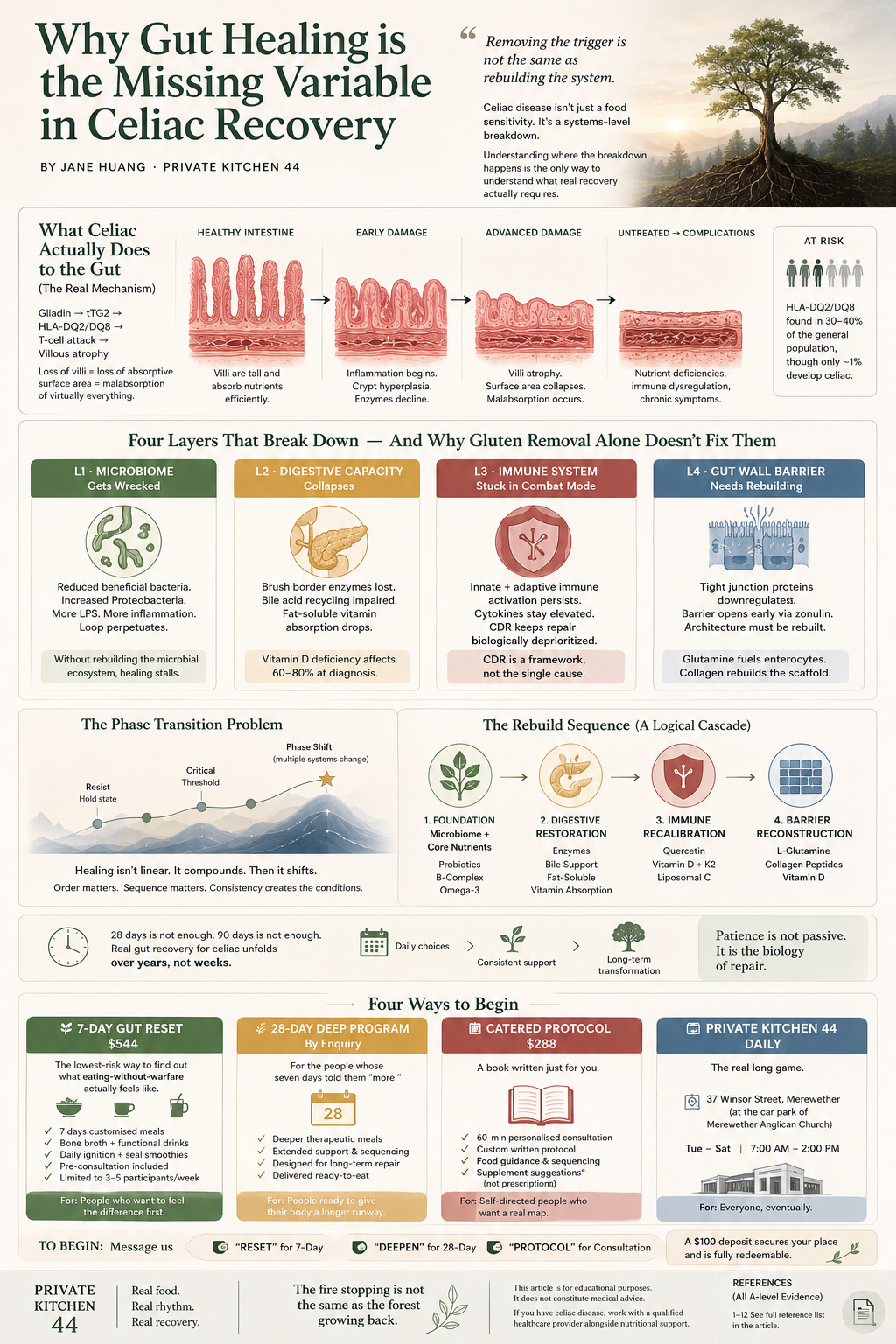 Why Gut Healing is the Missing Variable in Celiac Recovery