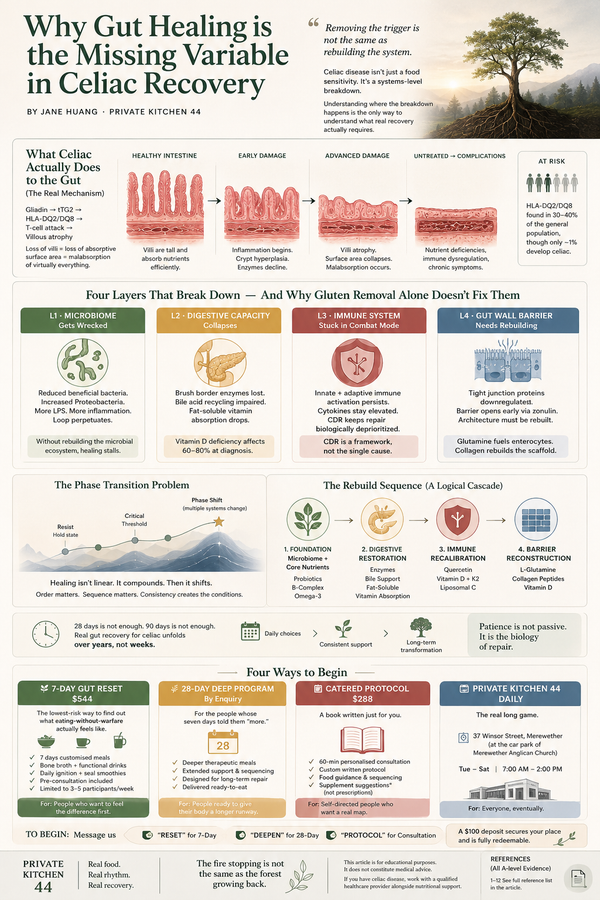 Why Gut Healing is the Missing Variable in Celiac Recovery
