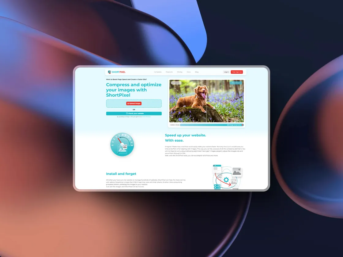 Building a 'Useless' Experiment That Made $50K MRR
