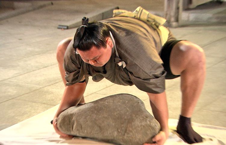 Are you stronger than a sumo wrestler?