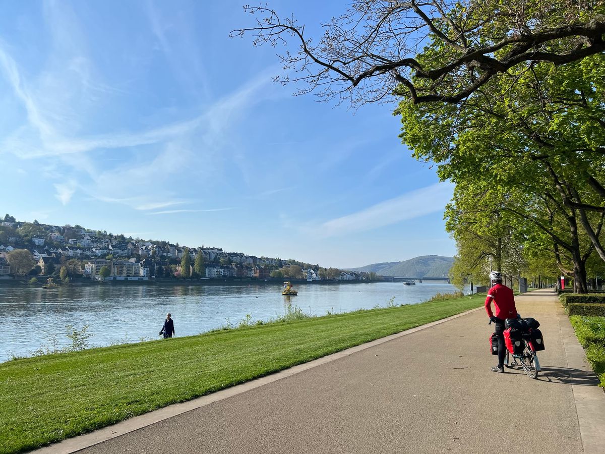 Cycling along the Rhine