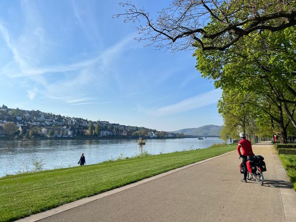 Cycling along the Rhine