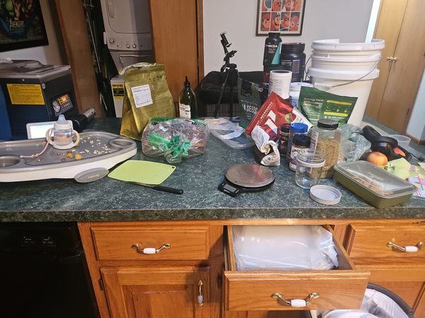 Kitchen Chaos & Coffee Protein: When the Plan Changes, But the Mission Doesn't