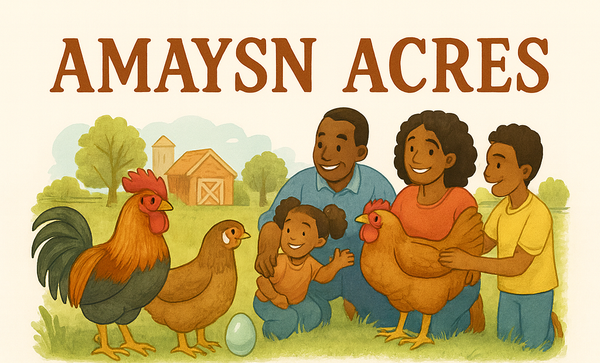 Most people stumble into chicken math. We walked into it on purpose.