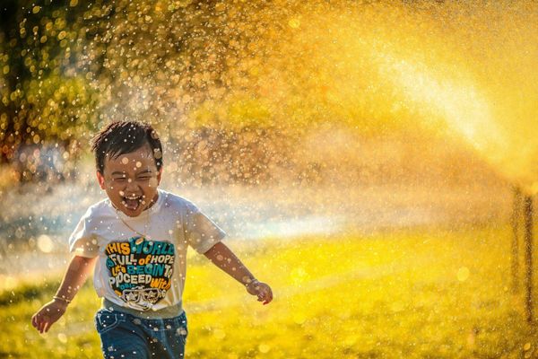 What Is Permanent Happiness?