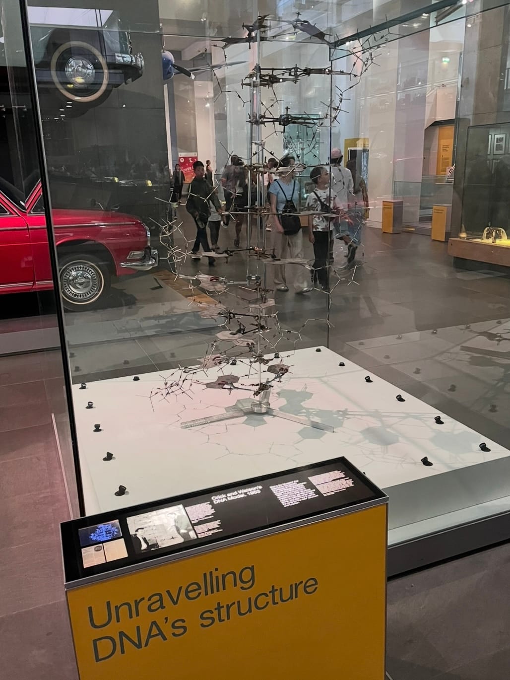 Crick and Watson's DNA Model from 1953. A human-sized model of the double helix structure.