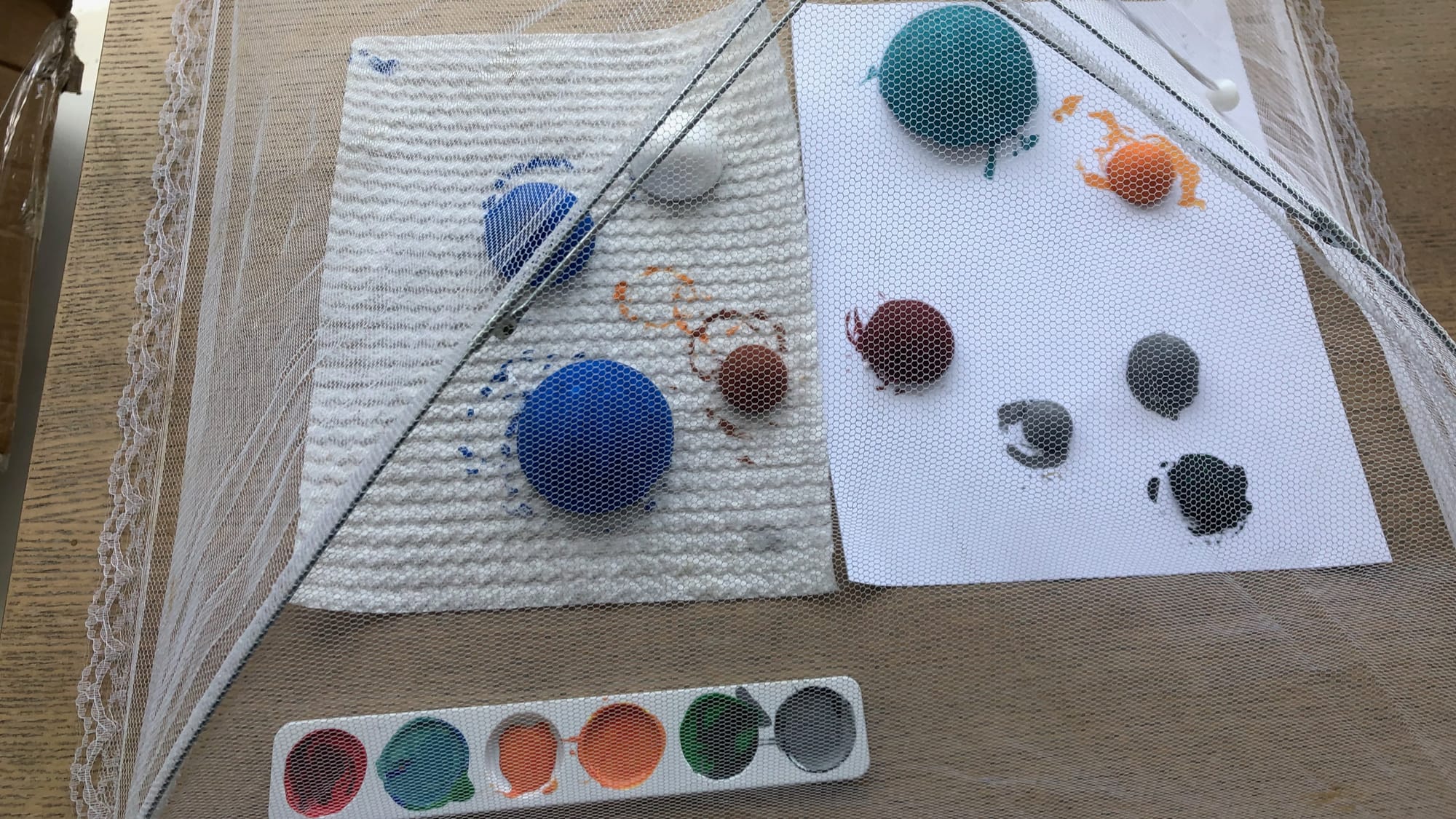 The first batch of spheres I painted for my Solar System model. Neptune, Uranus, Titan, Ganymede, Callisto, Mercury, and the Moon are finished. Earth and Mars have their bases painted but still haven't had details added.