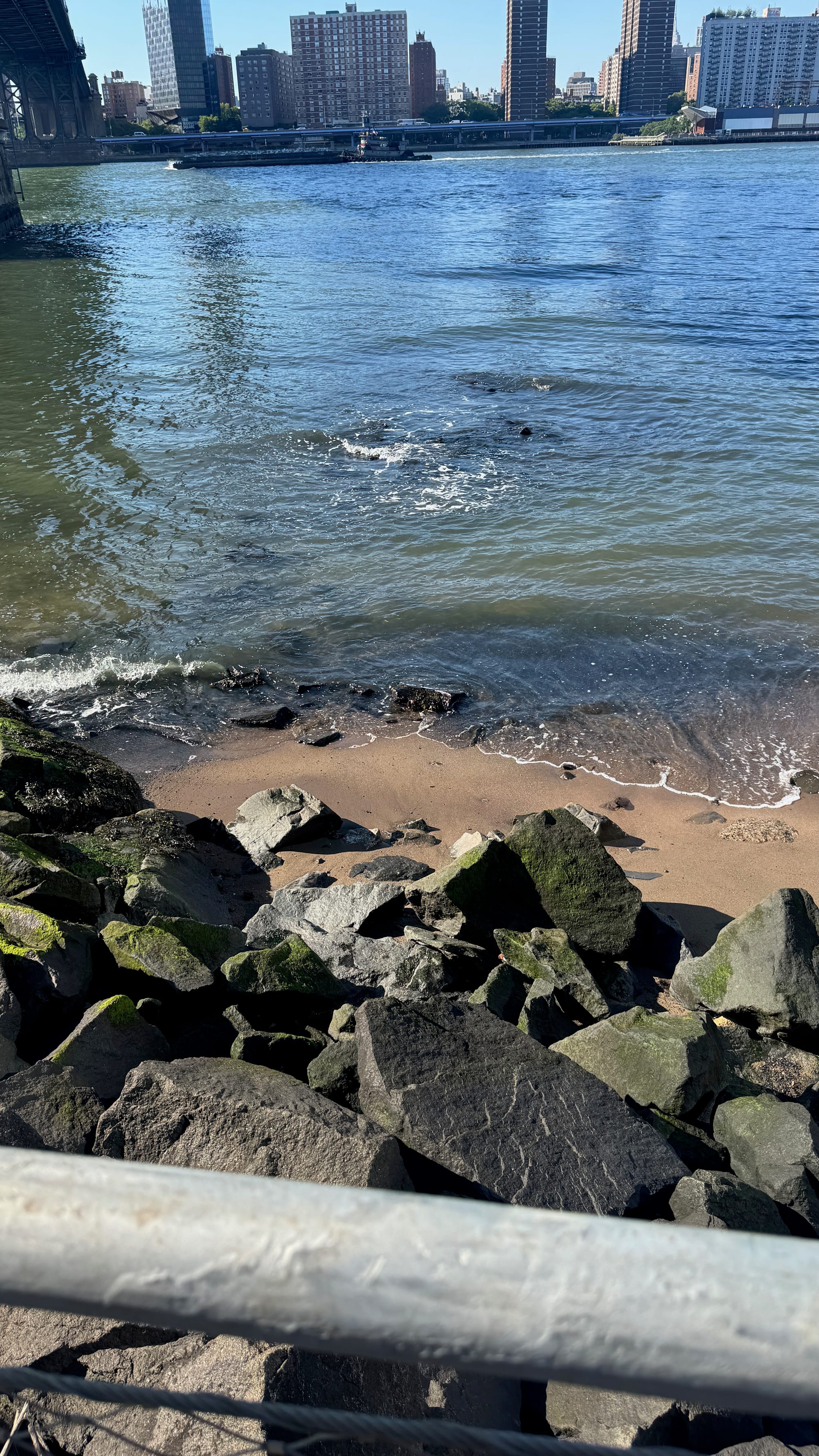 A stony and sandy shore with a line of rocks going into the East River in Brooklyn Bridge Park.