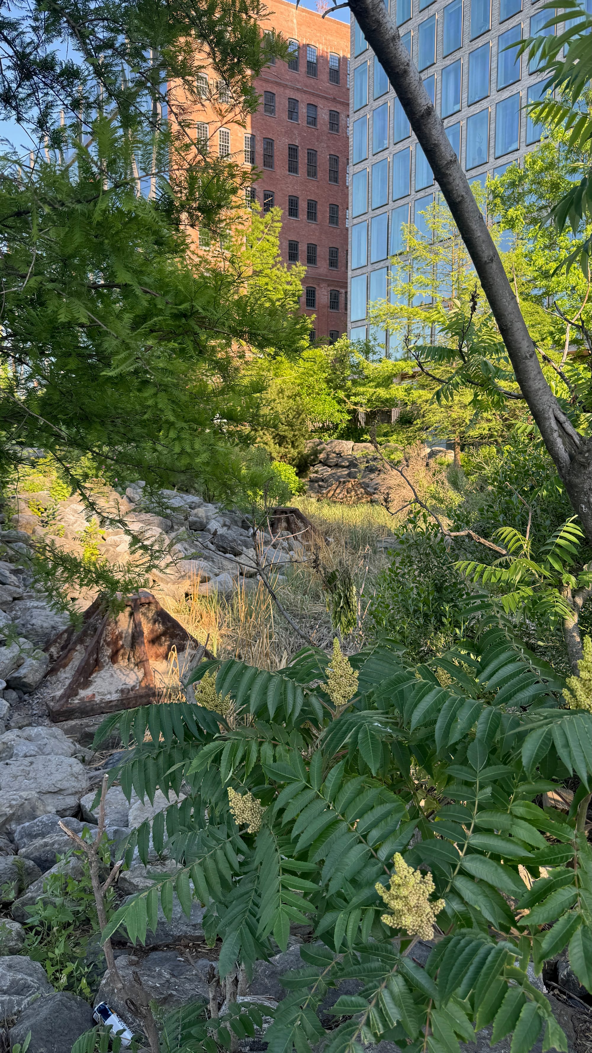 A small garden in the middle of Brooklyn Bridge Park.
