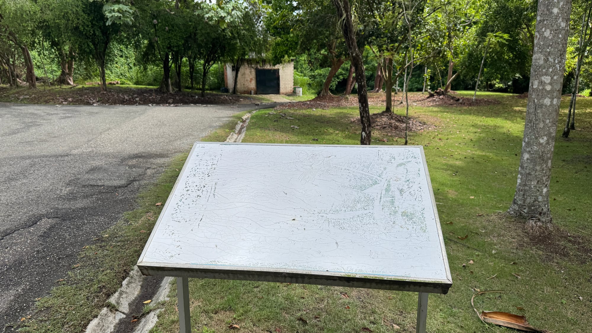 An old map in the Santo Domingo Botanical Garden. It is almost fully bleached out by the sun, with only a few splotches of green and a bit of faint blue in the edges visible.