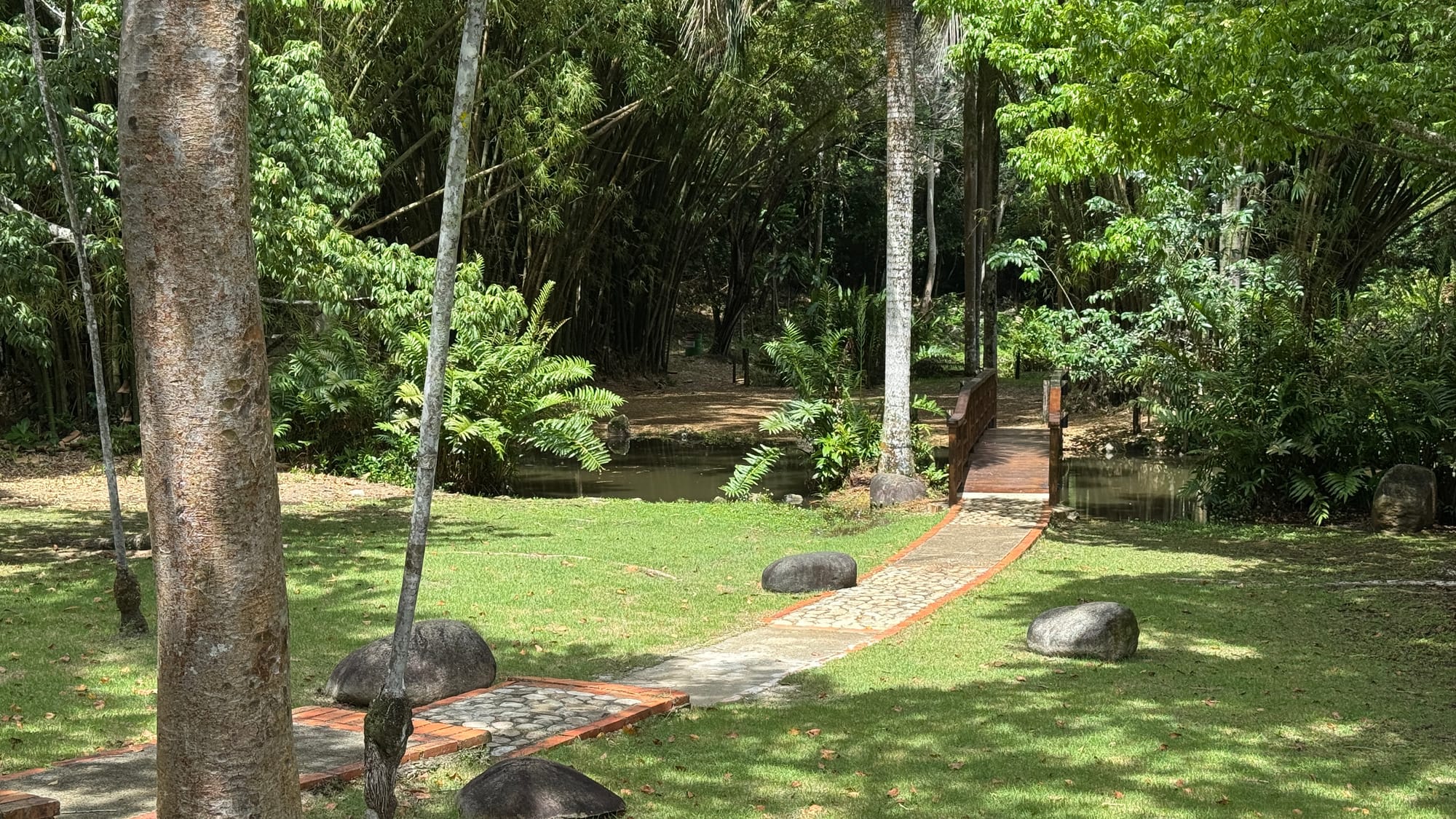 A small brick and cobblestone path leading to a bridge in the Santo Domingo Botanical Garden.
