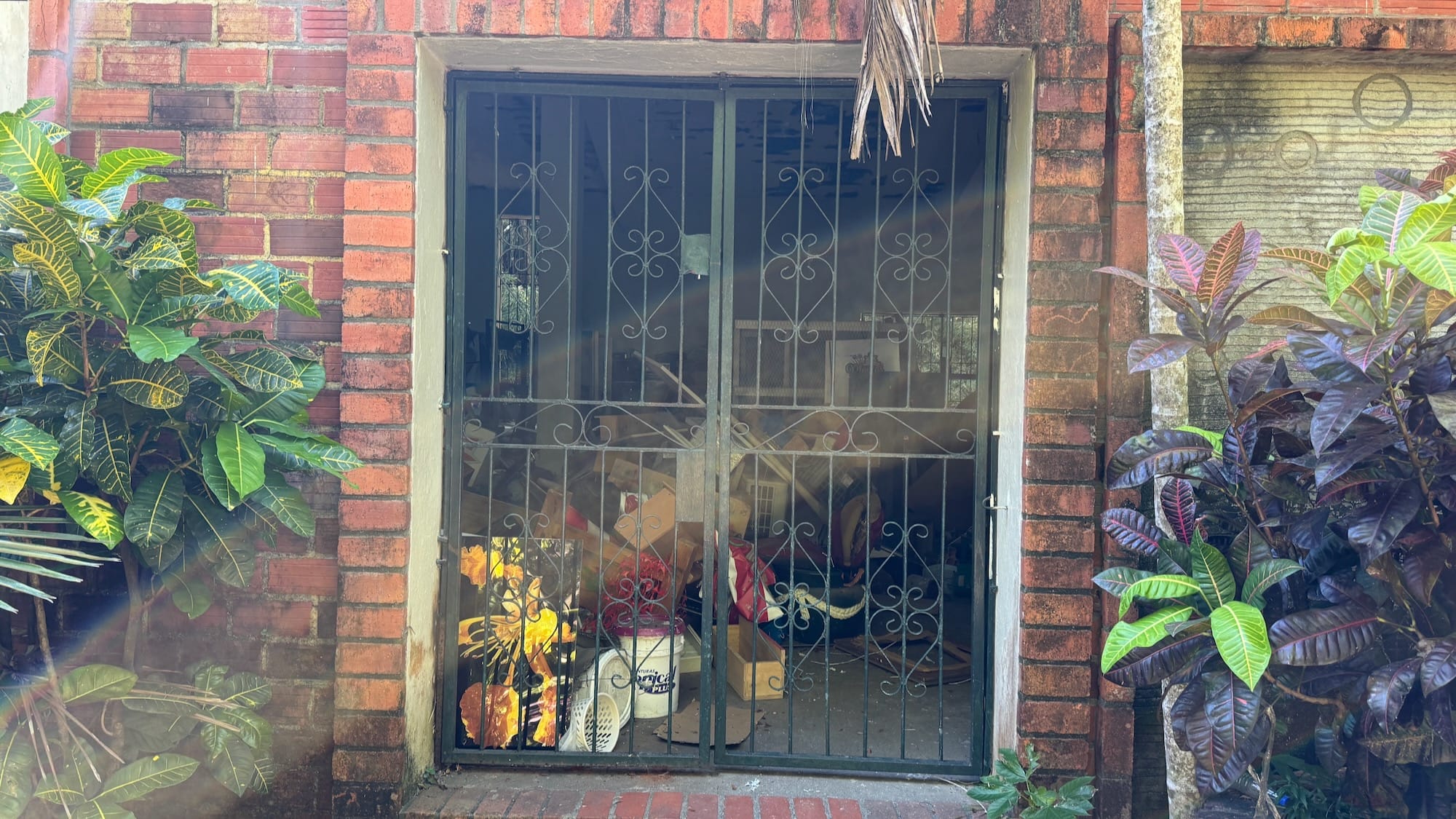 A closed storage house for a botanical garden. A bunch of miscellaneous items are in it, including a few paintings, buckets, and crates of multiple kinds.