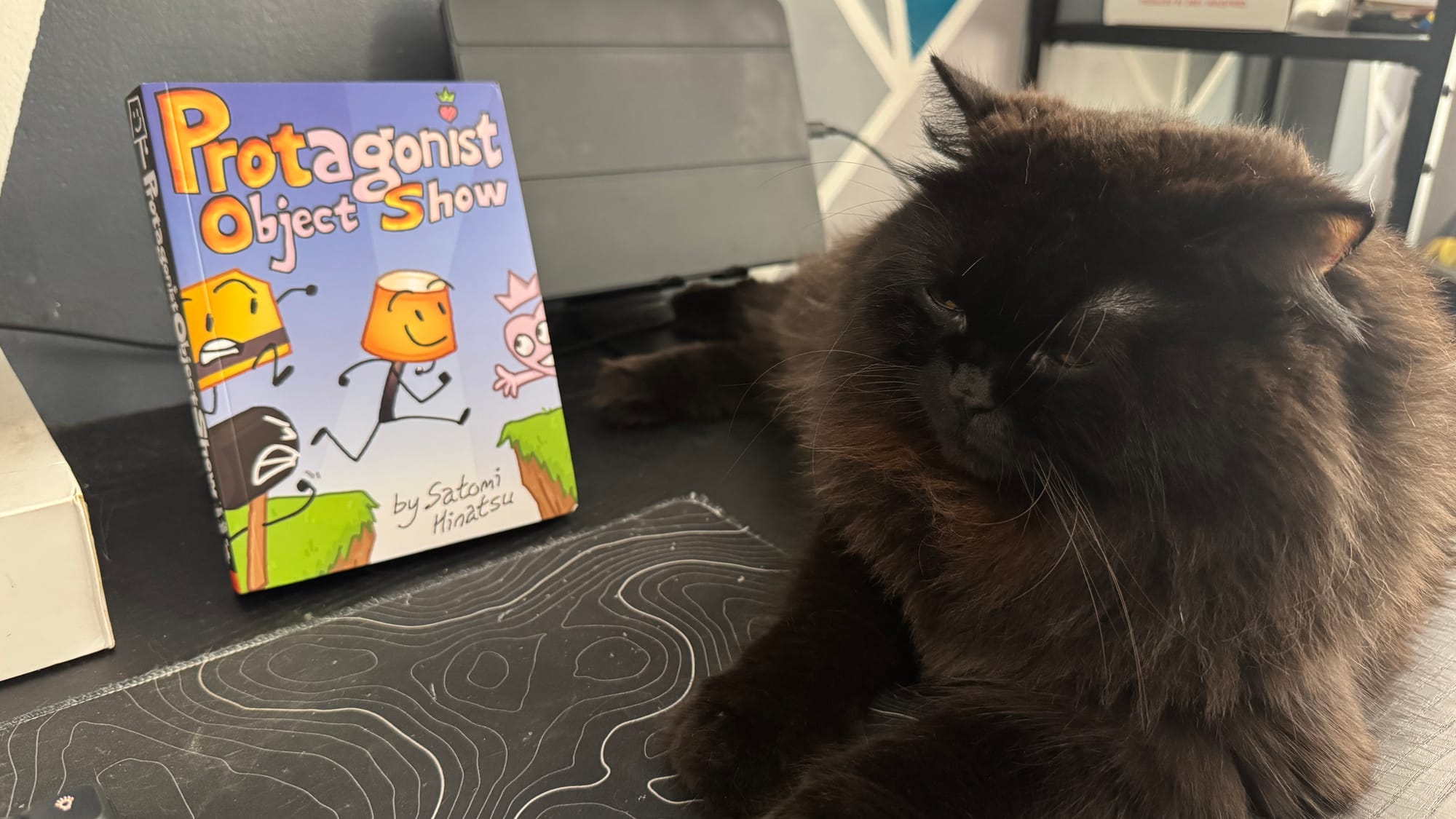 A yellow-eyed black Persian cat sitting next to the physical book of the Protagonist Object Show by Satomi Hinatsu. He is sleepy.