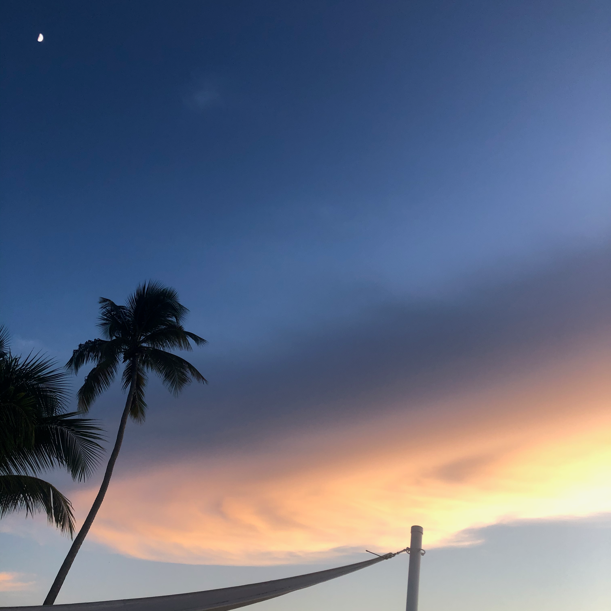 A zoomed out version of the previous image. A spiral cloud glows orange and yellow from sunlight, in front of a slightly dark sky during sunset. Two palm trees are visible on the bottom left, and a half moon is glowing on the top left.