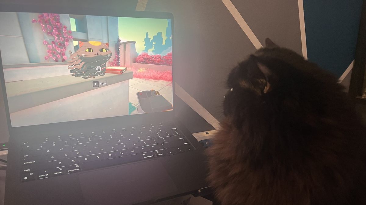 My cat, Pluto, staring back at Cait, the cat from the game.