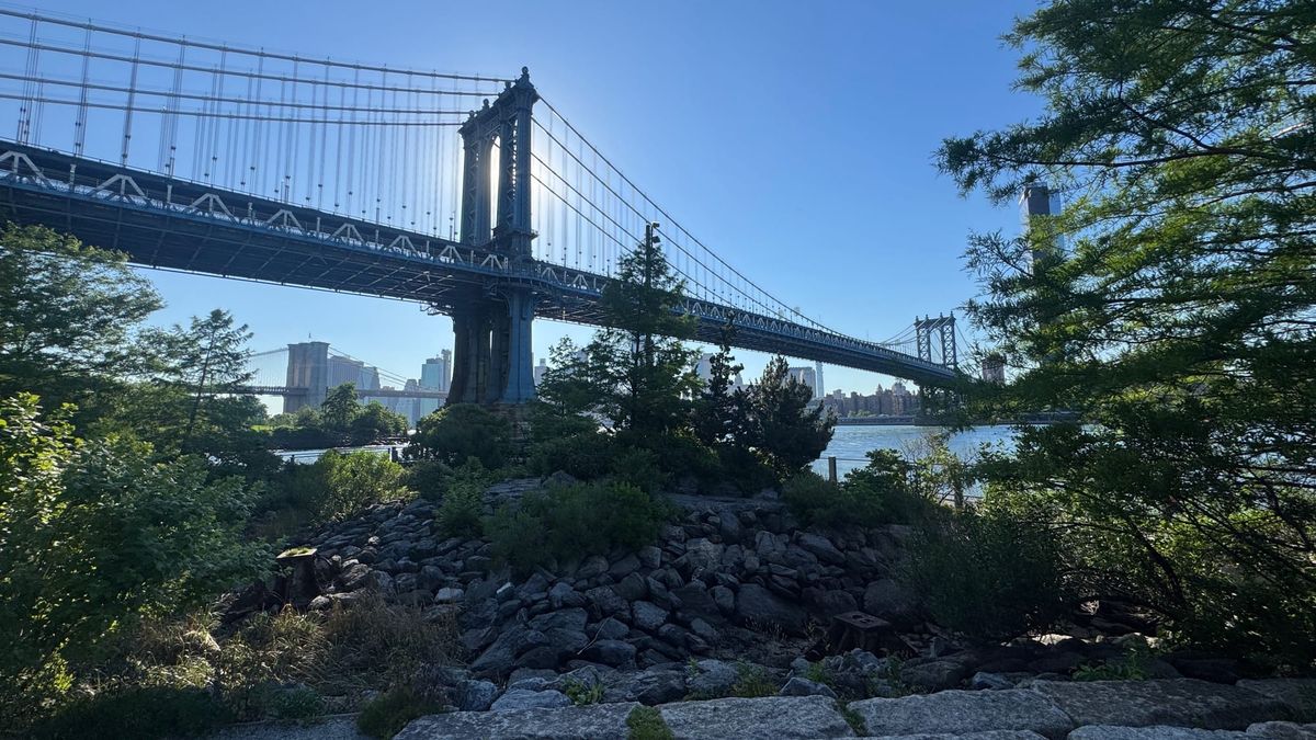 A view of the Manhattan Bridge and Manhattan from the John Street Section of Brooklyn Bridge Park. The bridge, skyline, and sun are in the background, with stones and trees in the foreground.
