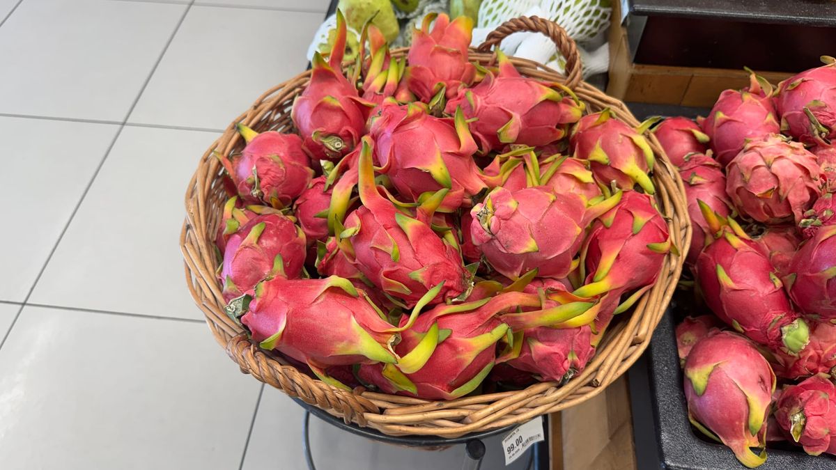A bunch of dragonfruits in a basket in a supermarket. Dragonfruit is pitahaya in Spanish.