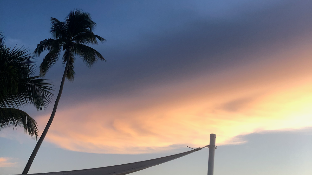 A spiral cloud glowing orange and yellow from sunlight, in front of a slightly dark sky during sunset. Two palm trees are visible on the left.