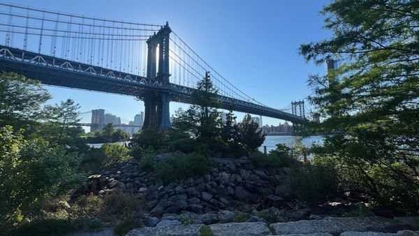 A view of the Manhattan Bridge and Manhattan from the John Street Section of Brooklyn Bridge Park. The bridge, skyline, and sun are in the background, with stones and trees in the foreground.