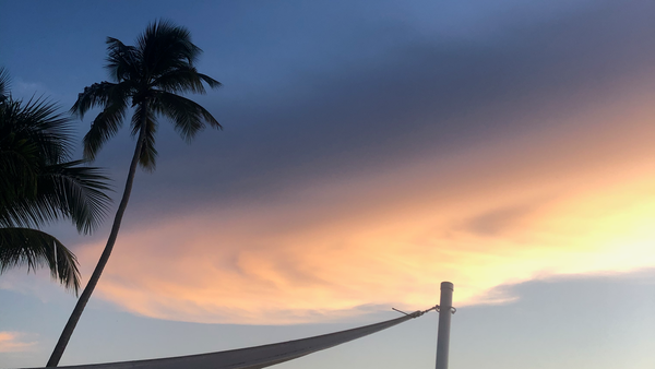 A spiral cloud glowing orange and yellow from sunlight, in front of a slightly dark sky during sunset. Two palm trees are visible on the left.