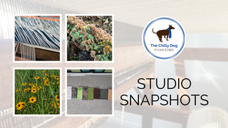 Summer 2026 | Studio Snapshots
