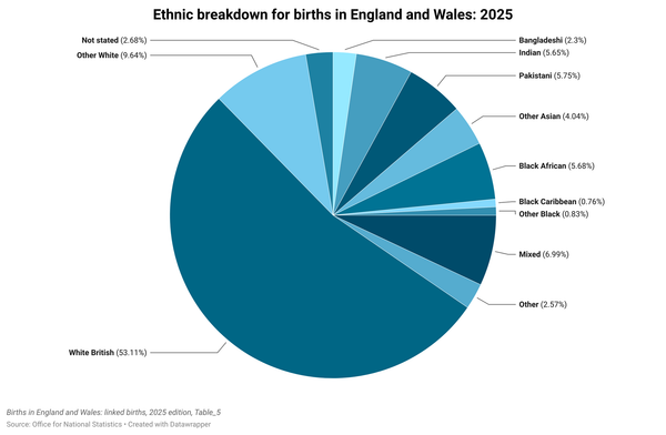 Ethnicity of births in England and Wales for 2025