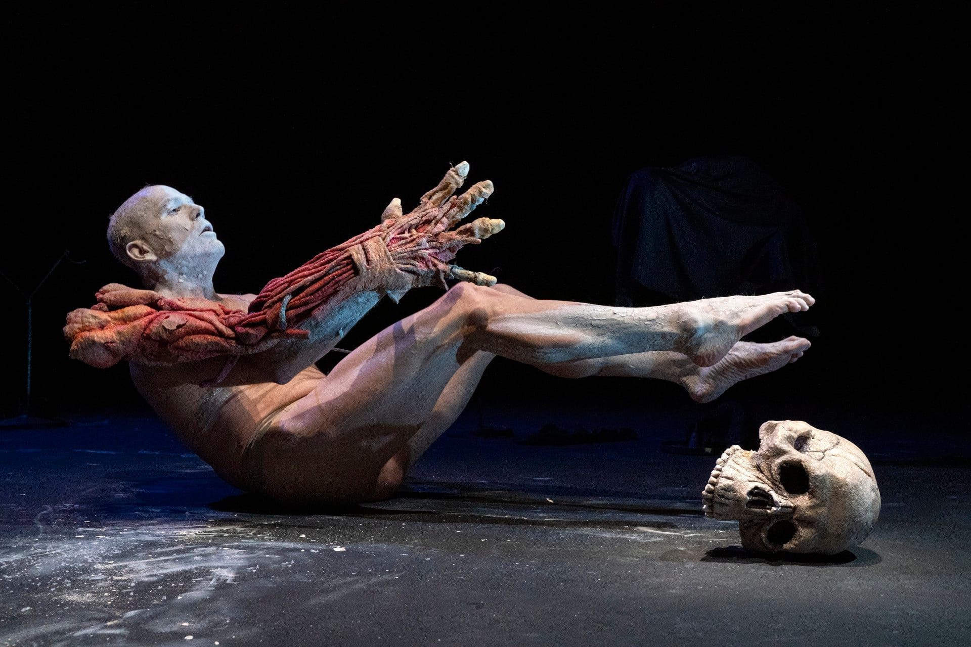 Member Exclusives: "The People VS Nature" & "A MEAL"