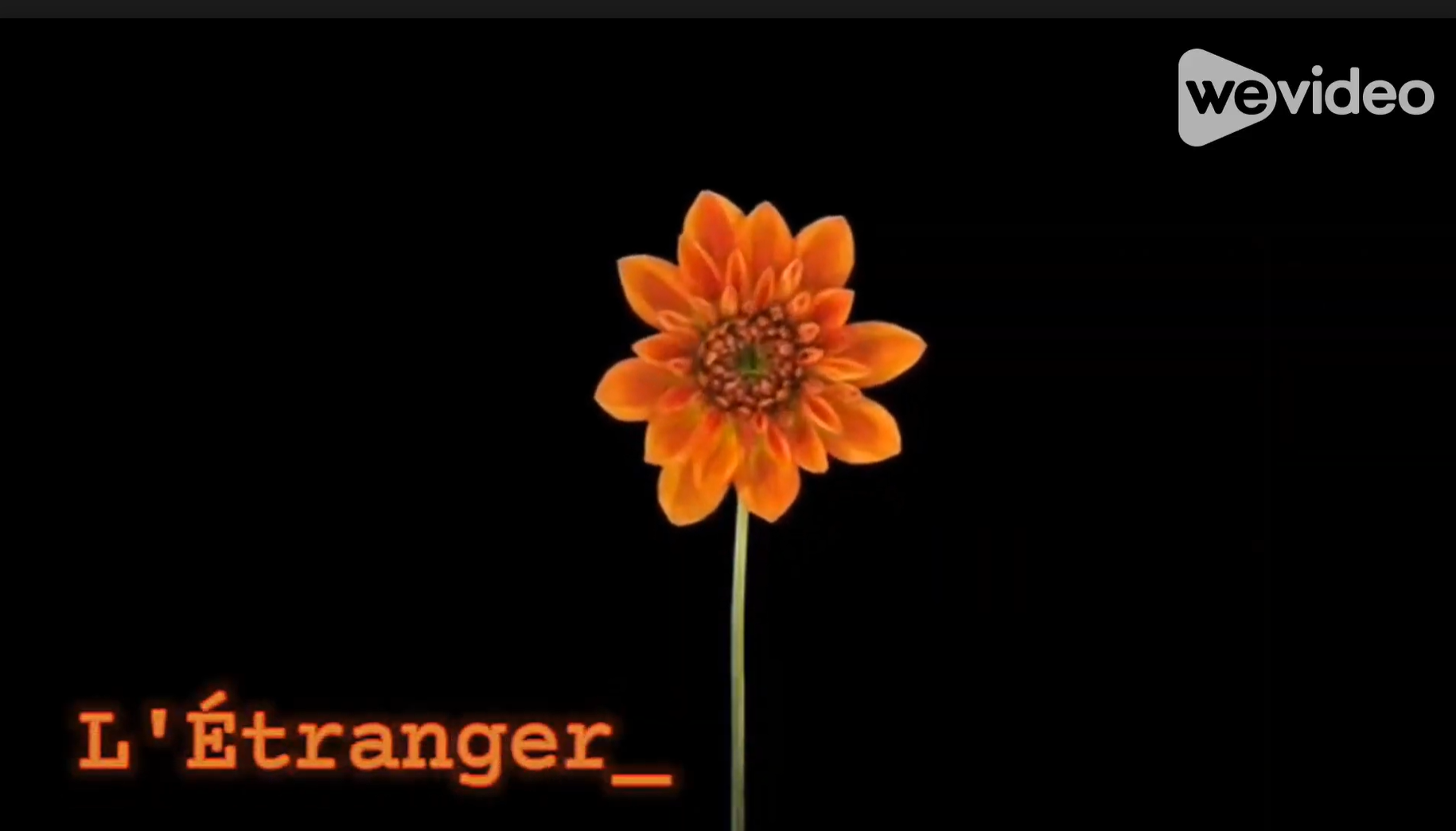 L'étranger
