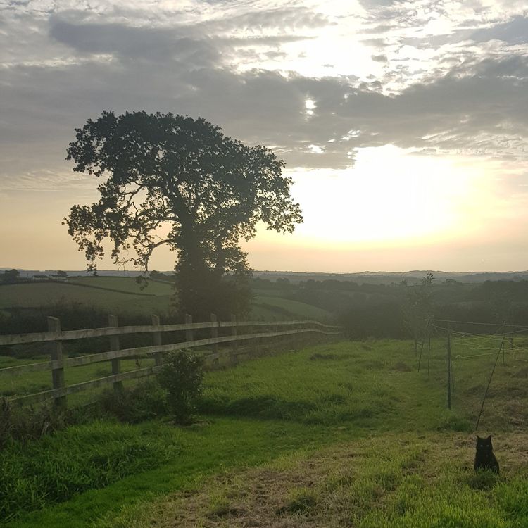 On poetry and finding hope in the darkness