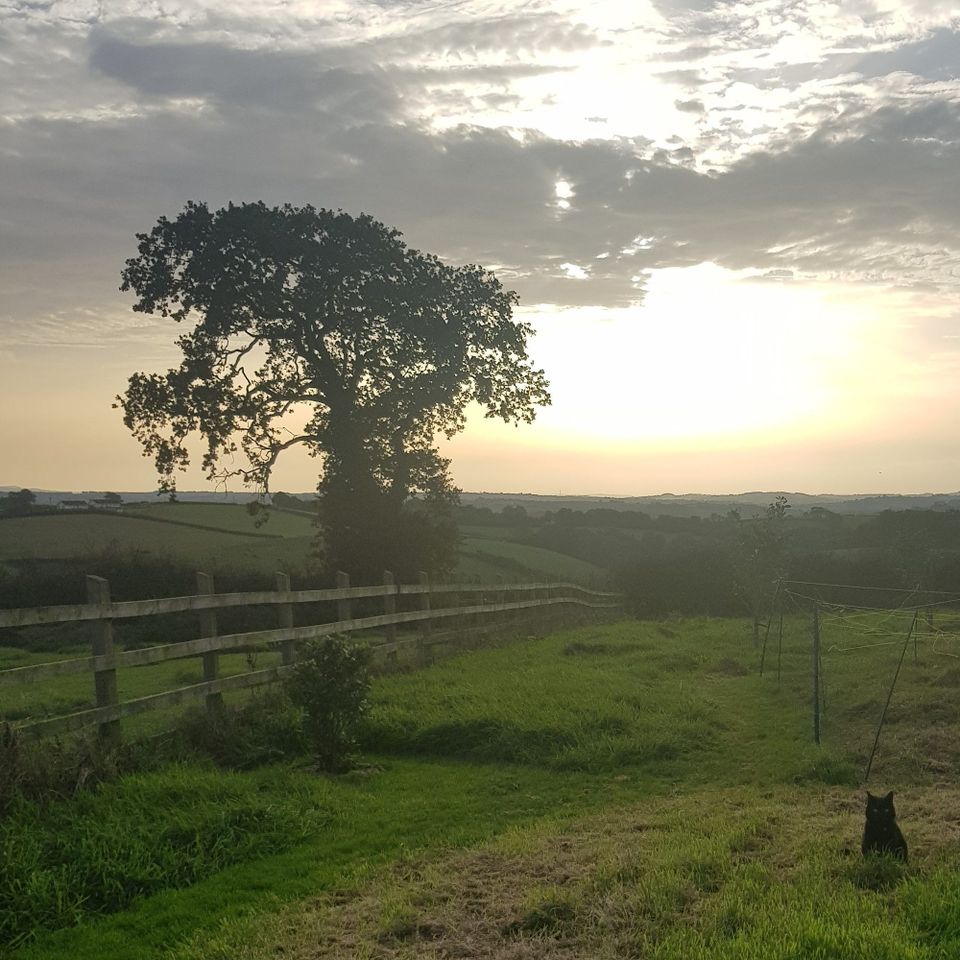 On poetry and finding hope in the darkness