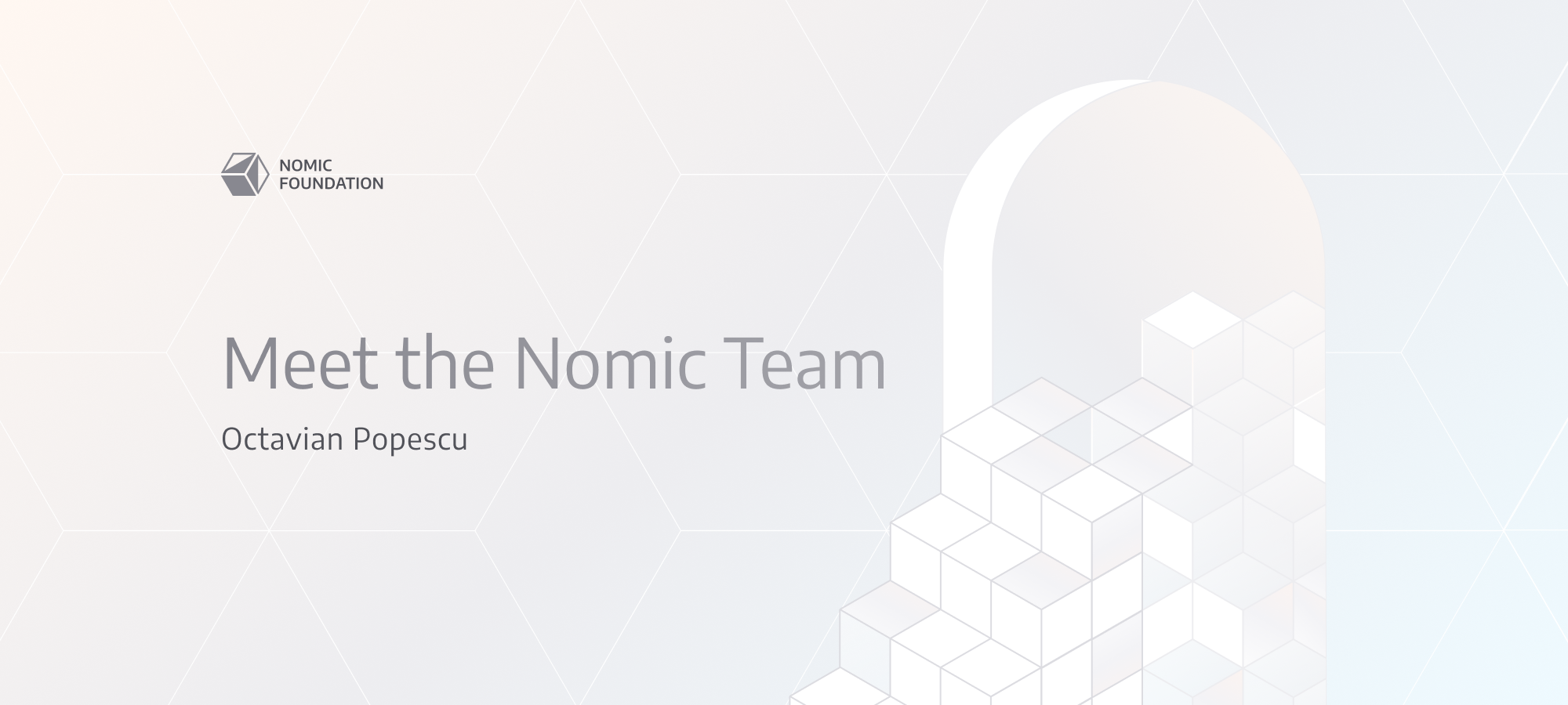 Meet the Nomic Team  — Octavian Popescu, Software Engineer