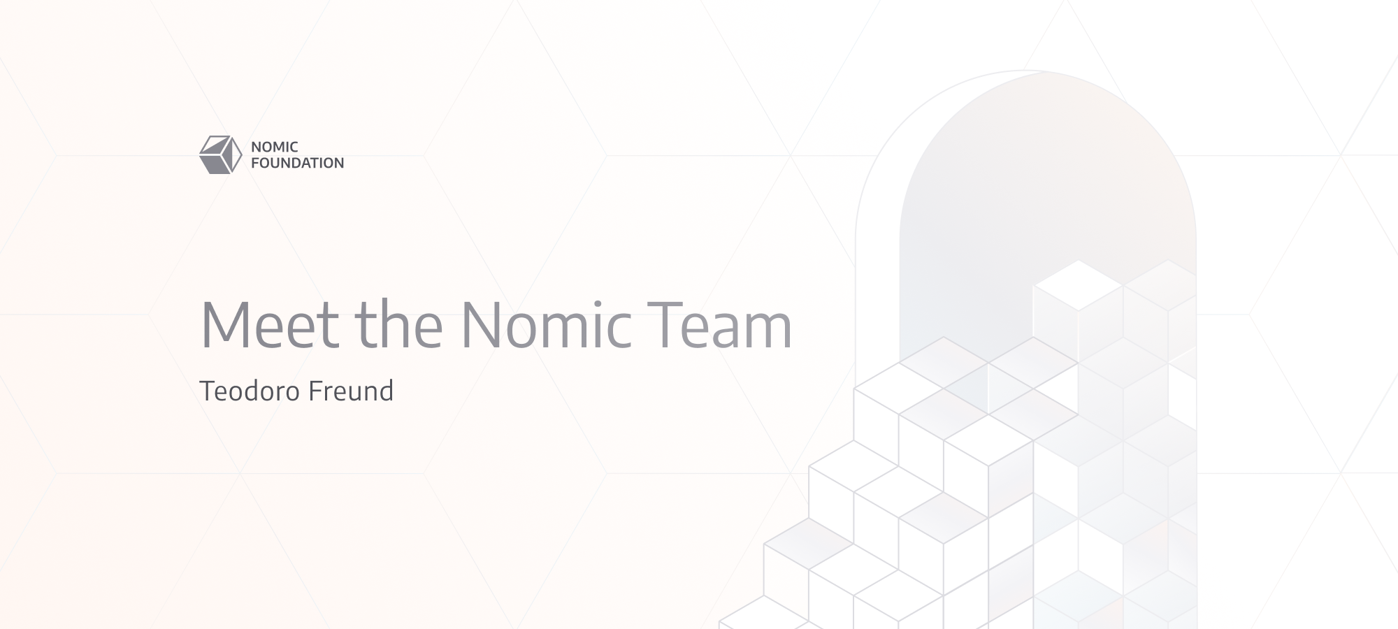 Meet the Nomic Team  — Teodoro Freund