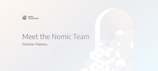 Meet the Nomic Team  — Octavian Popescu, Software Engineer
